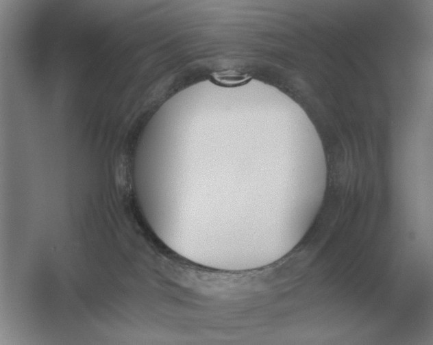 X0000054430044200508192135