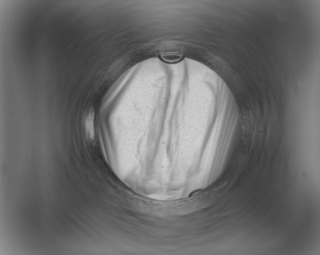 X0000054430046200508192135