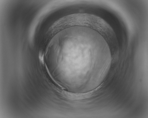 X0000054430047200508192135