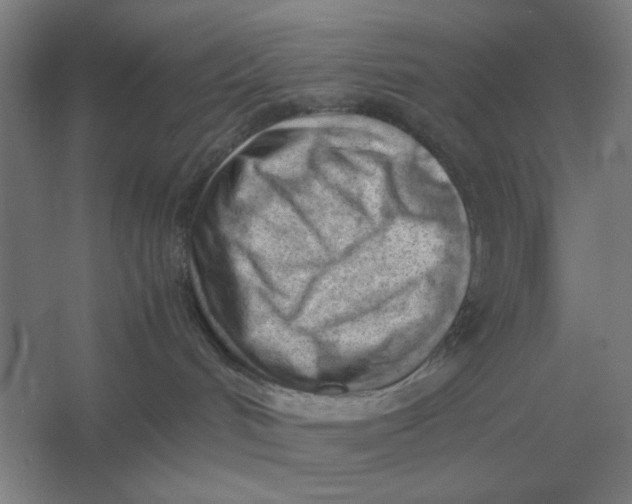 X0000054430048200508192135