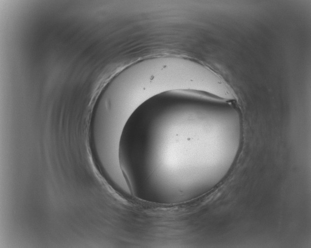 X0000054430049200508192134