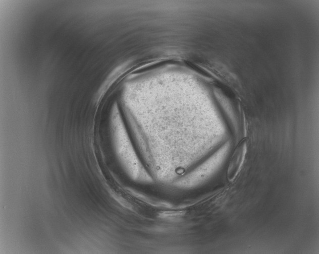 X0000054430051200508192134