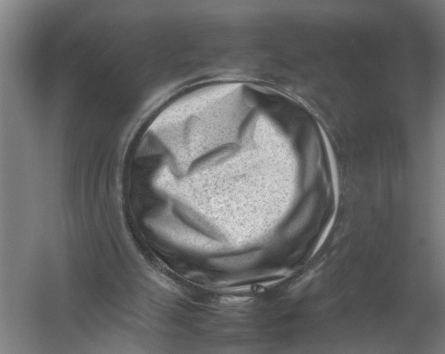 X0000054430055200508192134