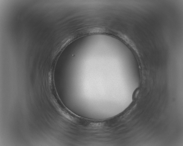 X0000054430057200508192134