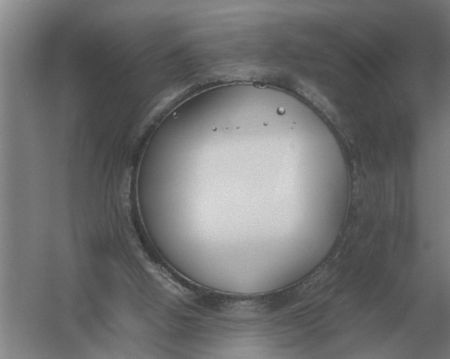 X0000054430058200508192134