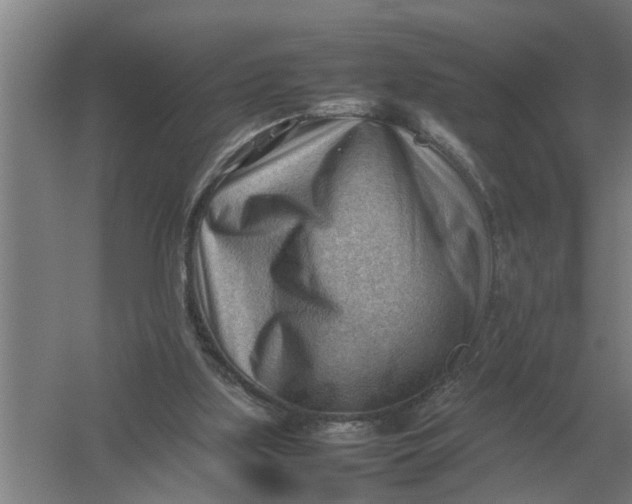 X0000054430059200508192134