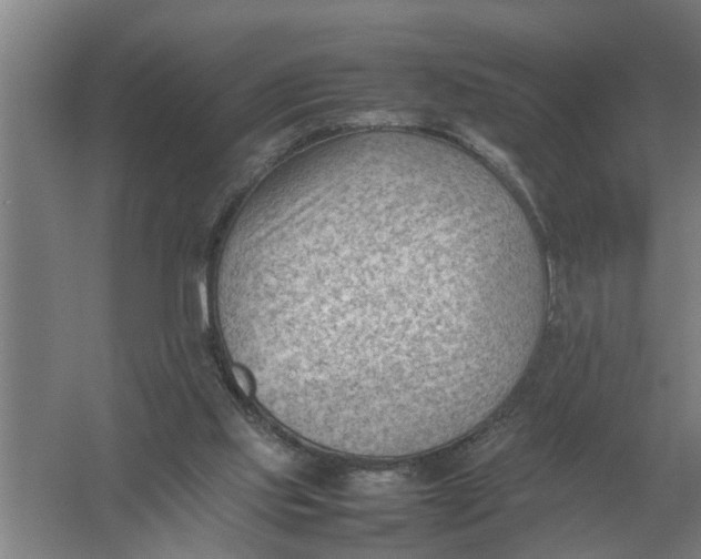 X0000054430061200508192134