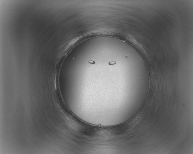 X0000054430062200508192134