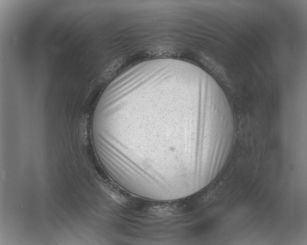 X0000054430065200508192134