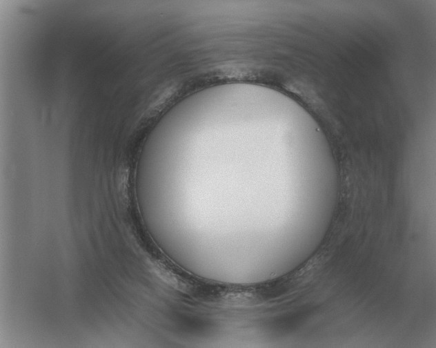 X0000054430066200508192134