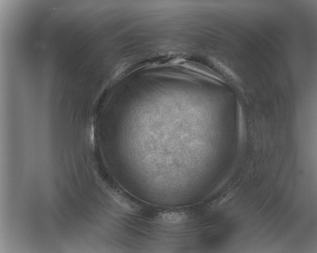 X0000054430067200508192134