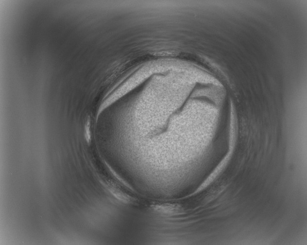 X0000054430069200508192134