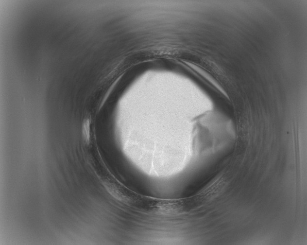 X0000054430070200508192134