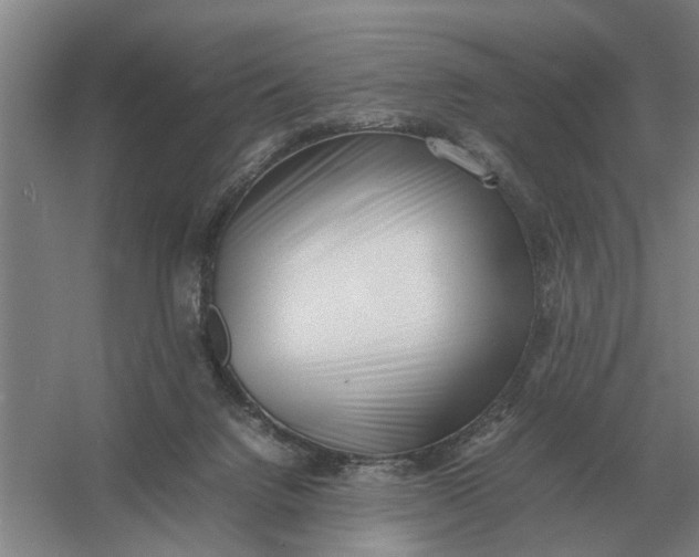 X0000054430072200508192134