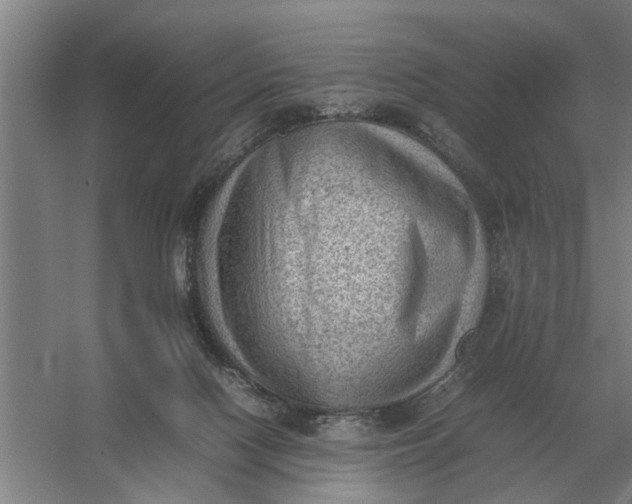 X0000054430074200508192134