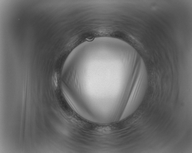 X0000054430075200508192134