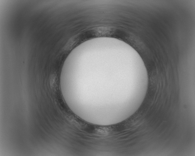 X0000054430079200508192135