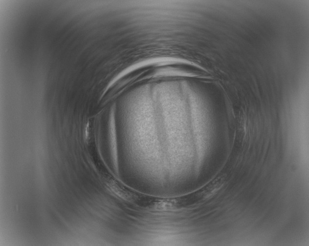 X0000054430080200508192135