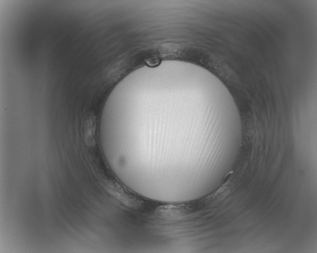 X0000054430082200508192135