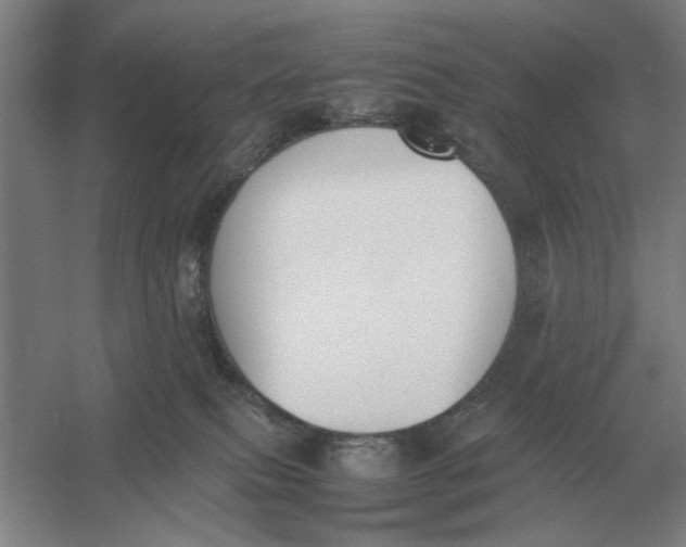 X0000054430087200508192135