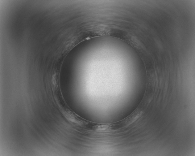 X0000054430088200508192135