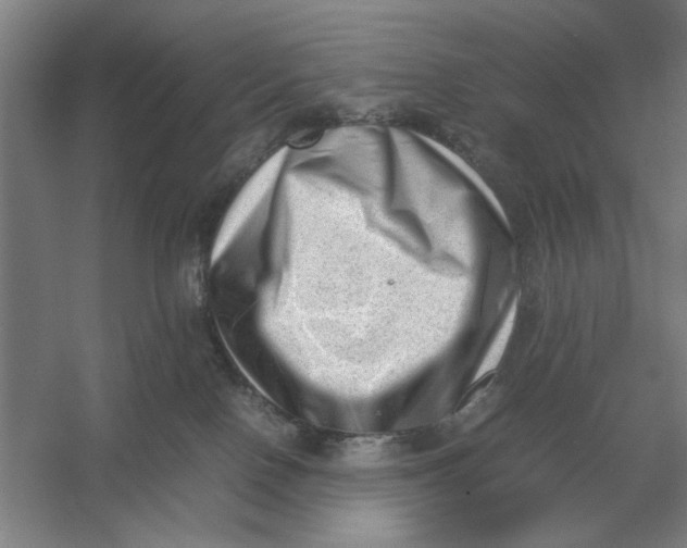 X0000054430090200508192135