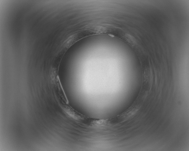 X0000054430092200508192135