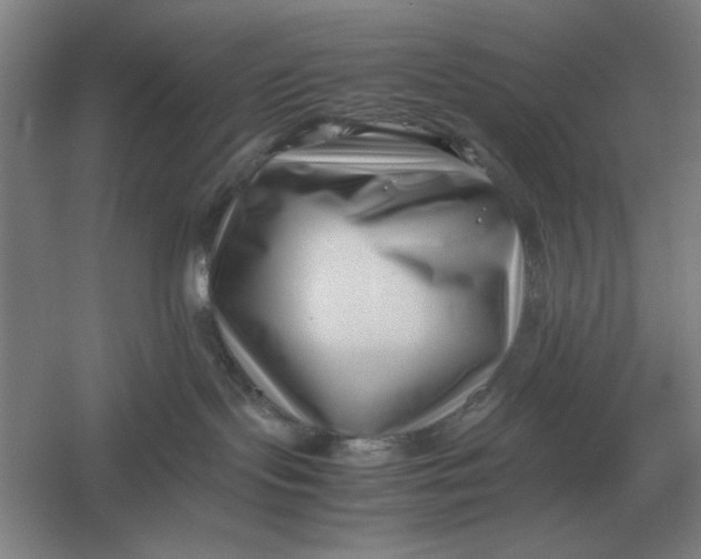 X0000054430095200508192135