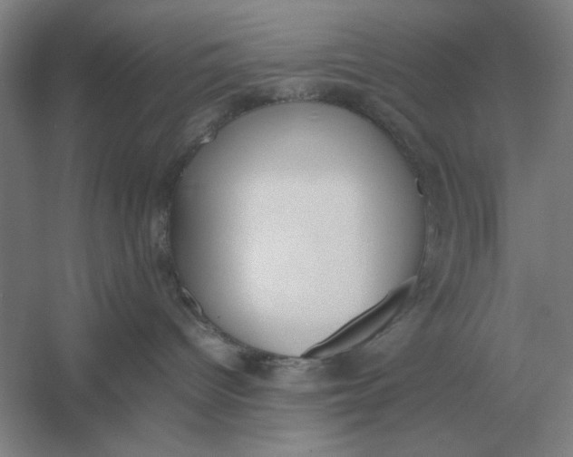 X0000054430096200508192135