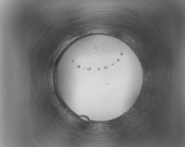 X0000054430098200508192134