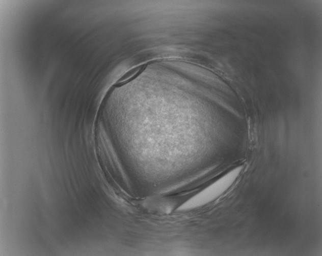 X0000054430099200508192134