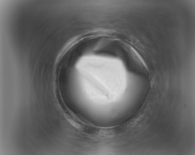 X0000054430101200508192134