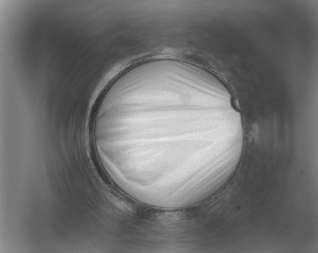 X0000054430102200508192134