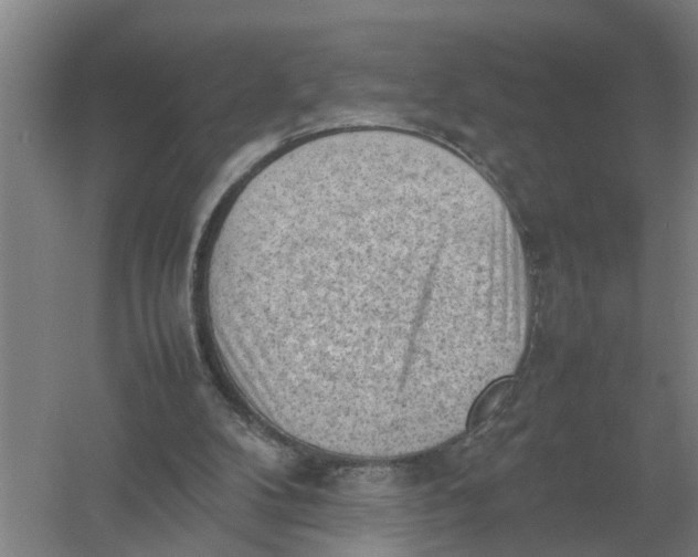 X0000054430104200508192134