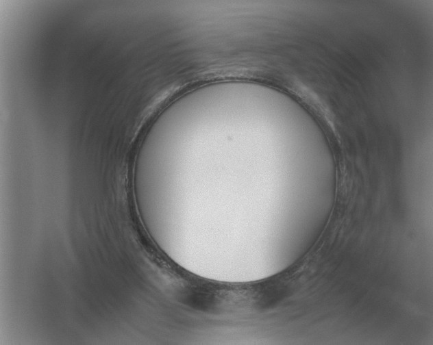 X0000054430107200508192134