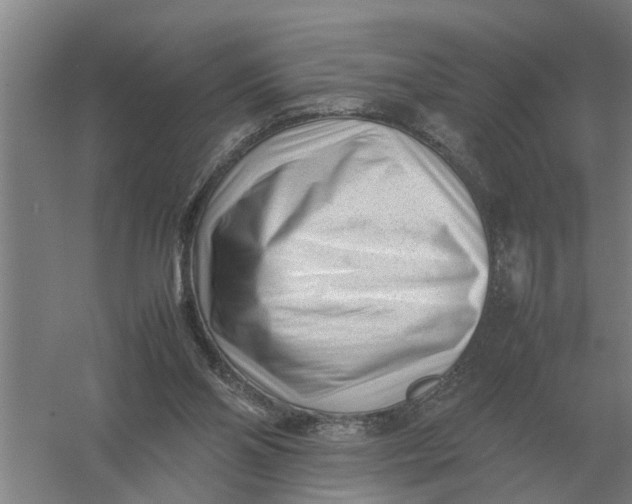 X0000054430110200508192134