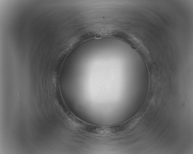 X0000054430113200508192134