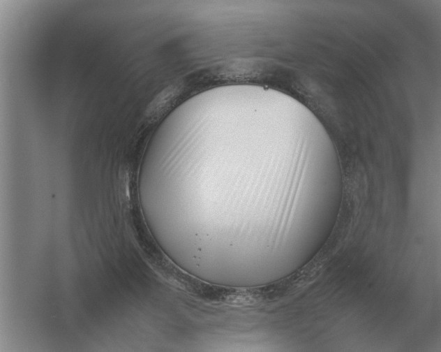 X0000054430115200508192134