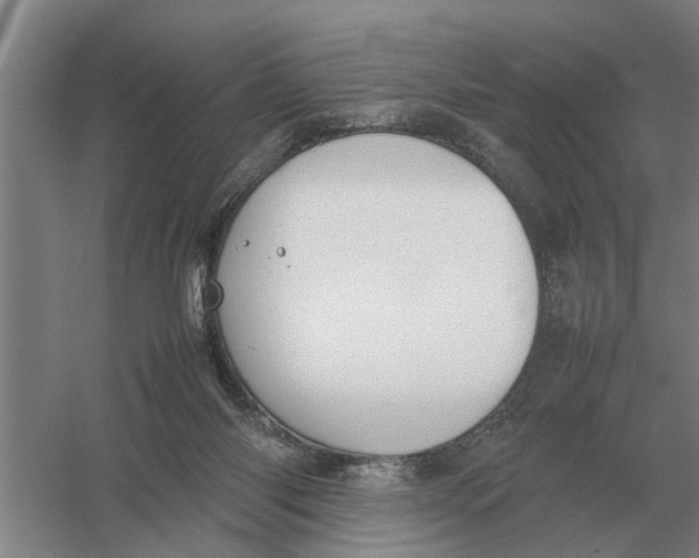 X0000054430118200508192134