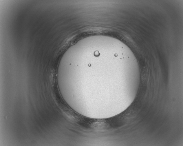 X0000054430119200508192134