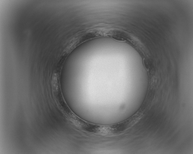 X0000054430121200508192134