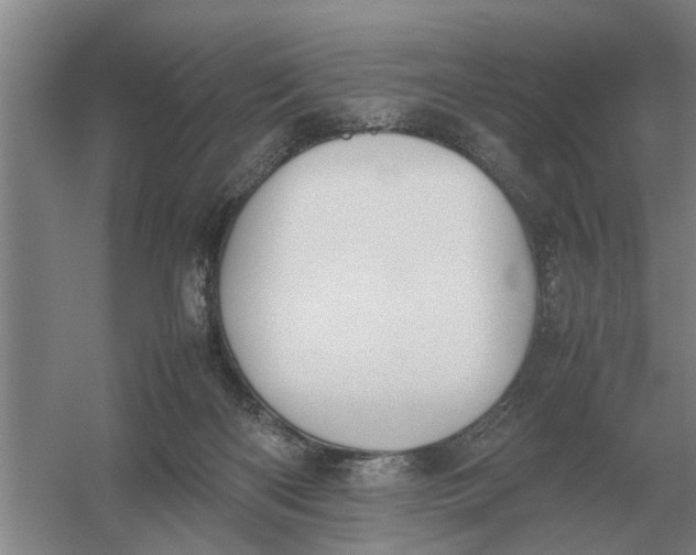 X0000054430122200508192134