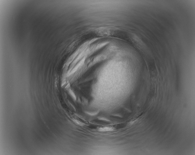 X0000054430125200508192134