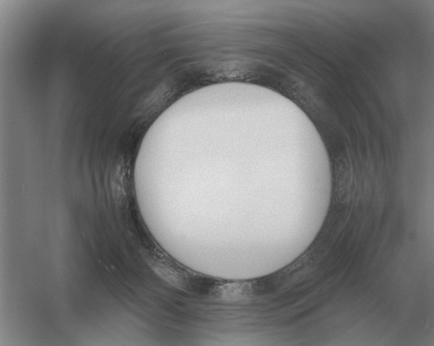 X0000054430126200508192134