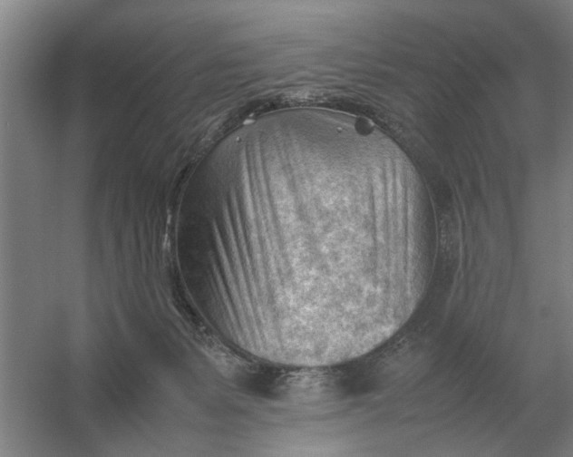 X0000054430127200508192134