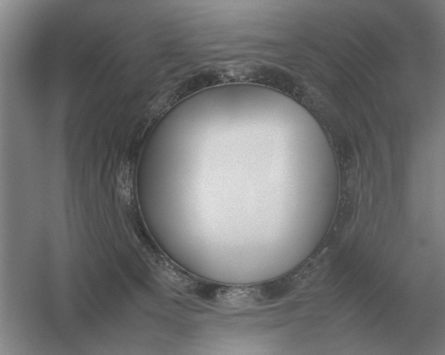 X0000054430129200508192133