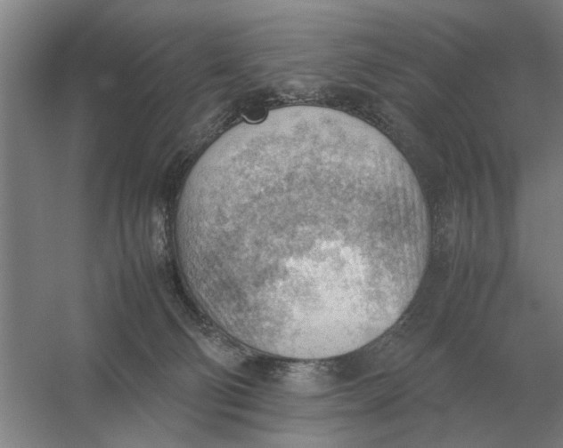 X0000054430130200508192133