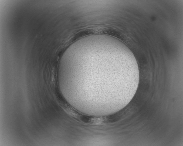 X0000054430131200508192133