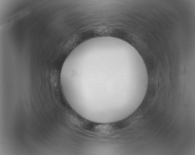 X0000054430133200508192133