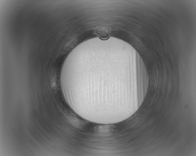 X0000054430134200508192133